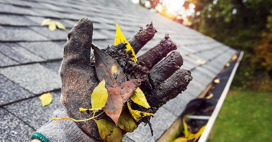 gutter insurance claim Alachua FL