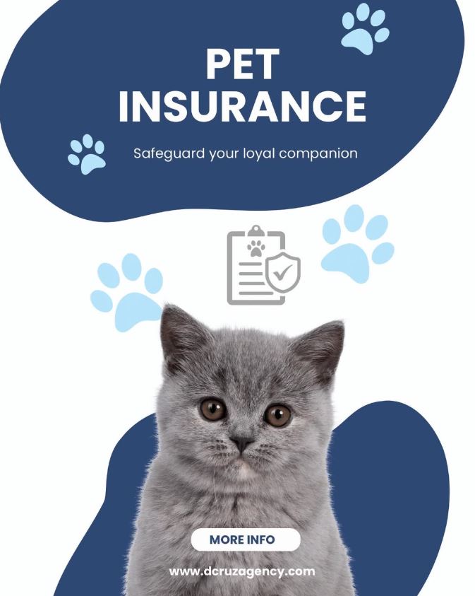 insurance Trenton NJ
