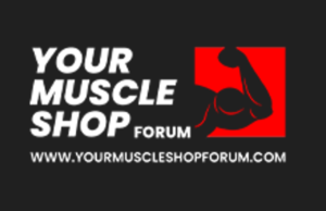 supplement cycle advice for beginners
